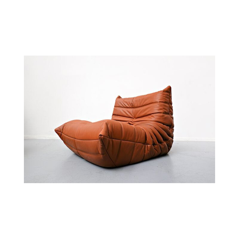 Vintage leather sofa by Michel Ducaroy