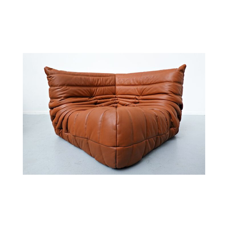 Vintage leather sofa by Michel Ducaroy