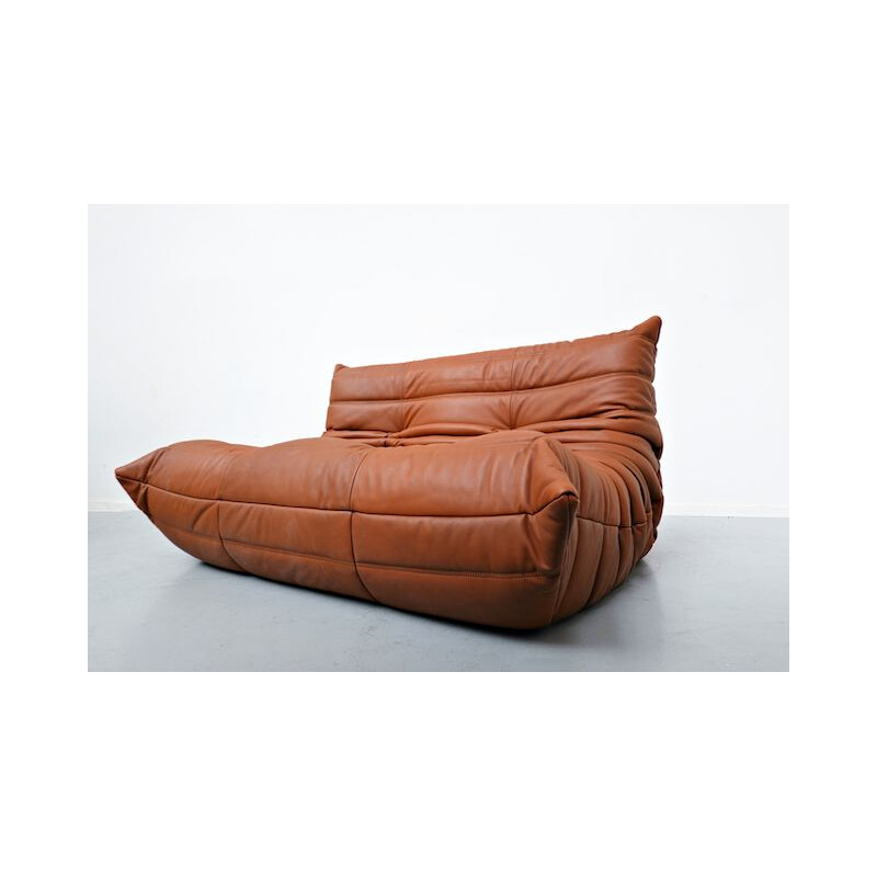 Vintage leather sofa by Michel Ducaroy