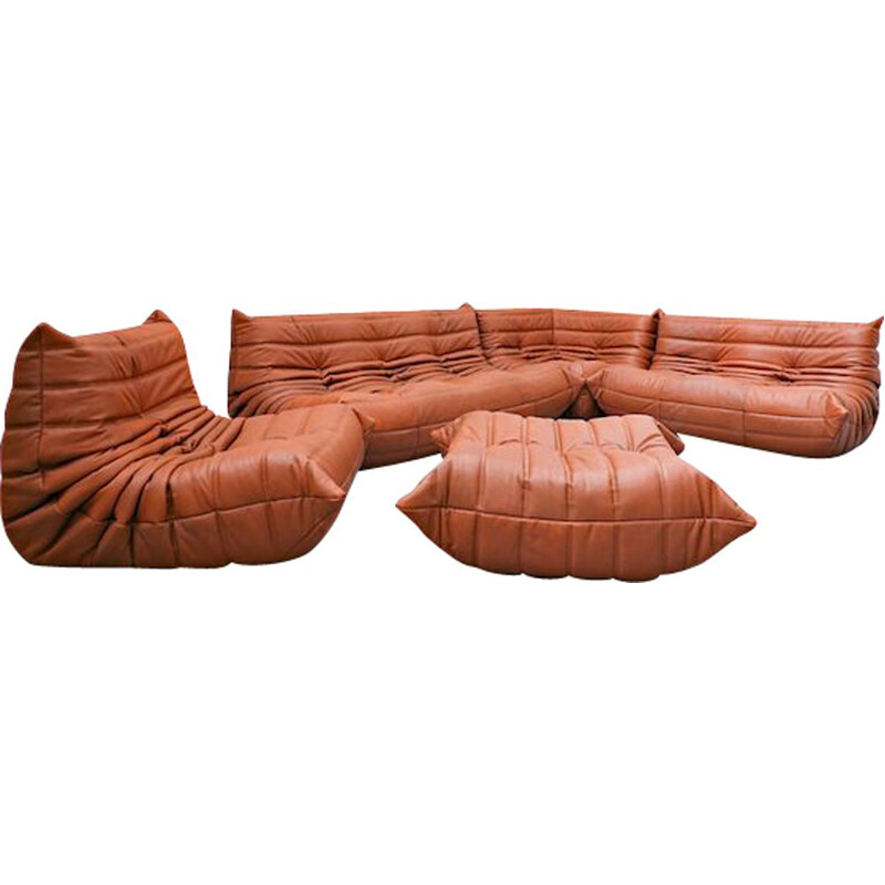 Vintage leather sofa by Michel Ducaroy