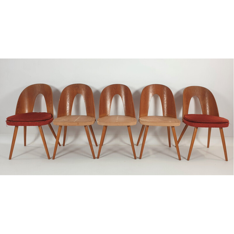 Ensemble de 5 chaises vintage par Antonín Šuman pour Tatra 1960