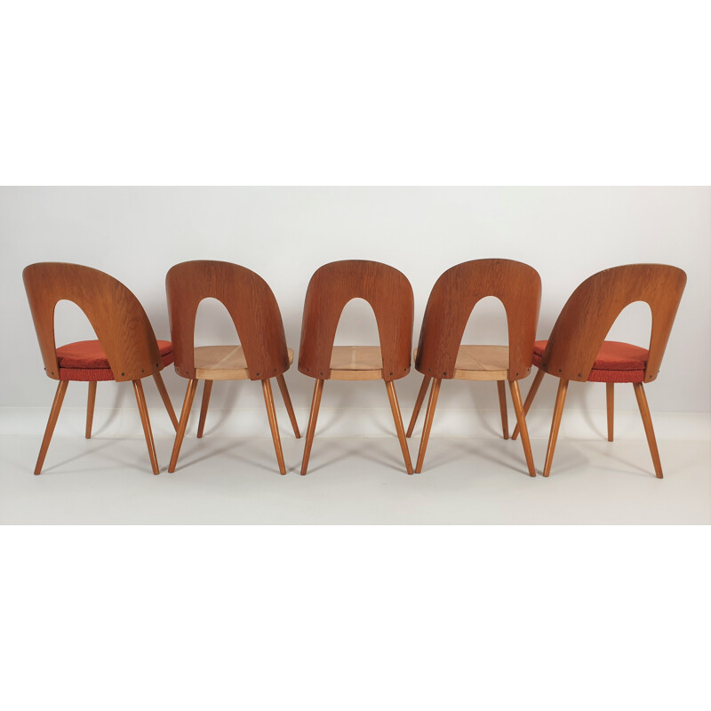 Set of 5 vintage chairs by Antonín Šuman for Tatra 1960s