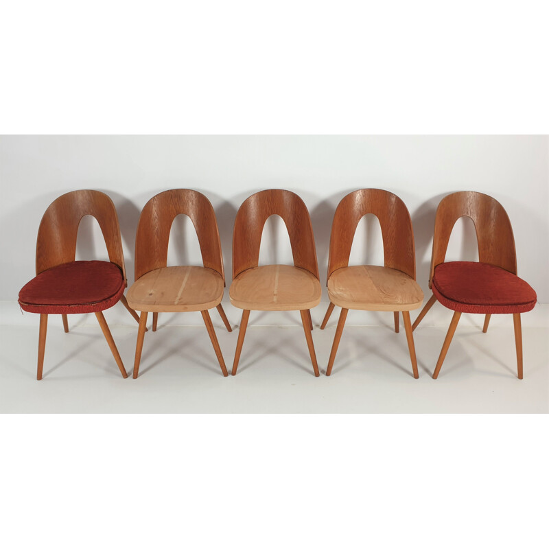 Set of 5 vintage chairs by Antonín Šuman for Tatra 1960s