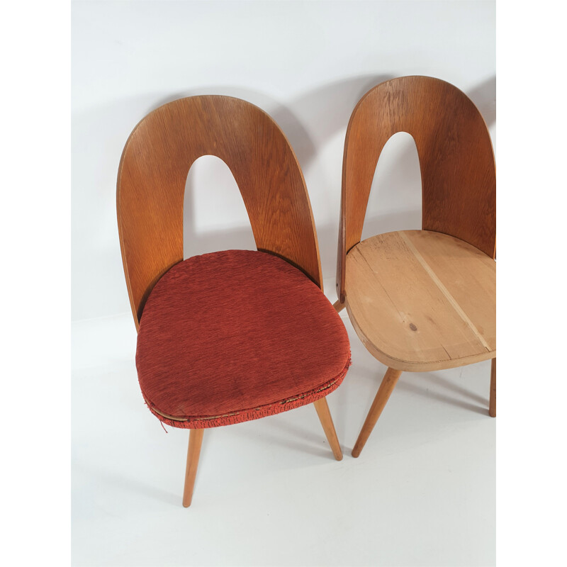 Set of 5 vintage chairs by Antonín Šuman for Tatra 1960s