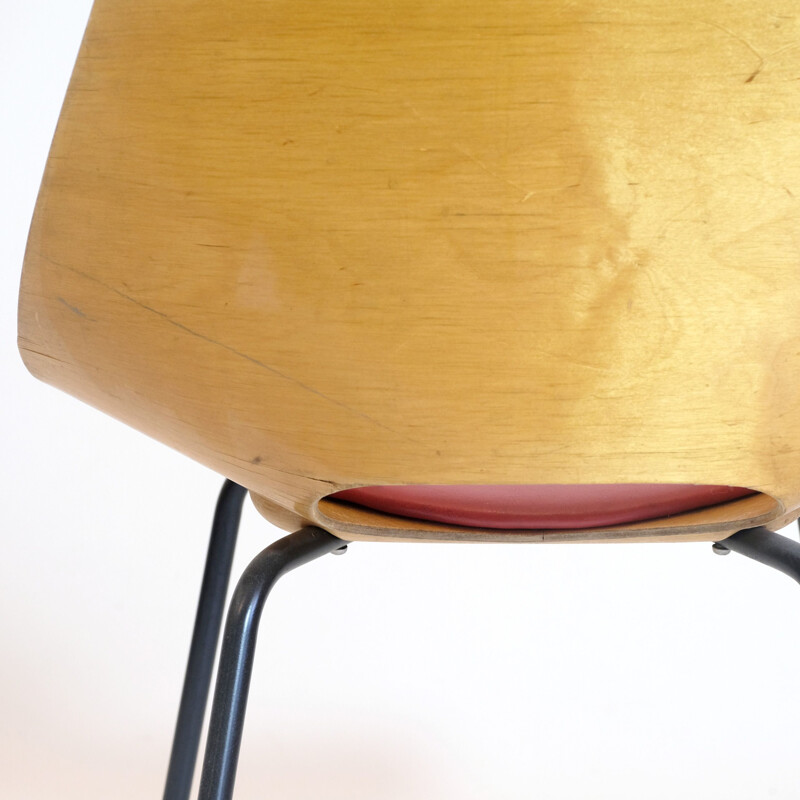 Vintage Chair Pierre Guariche Barrel  1950s
