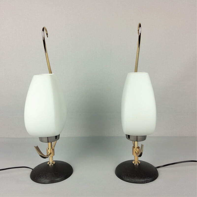 Paar Vintage-Lampen aus Opalin und Messing, 1960