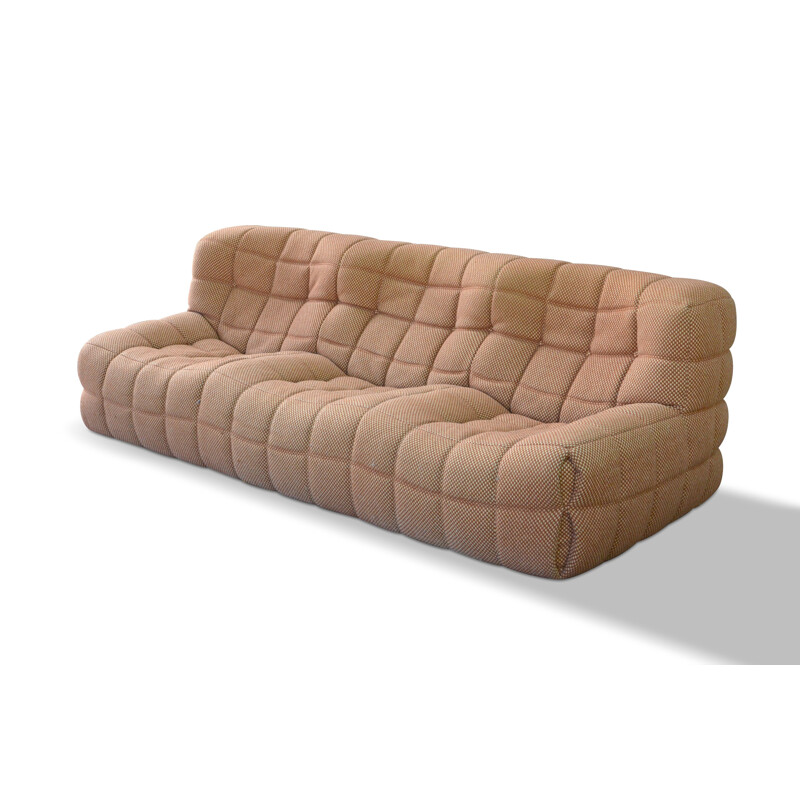 Vintage Kashima sofa by Michel Ducaroy for Ligne Roset