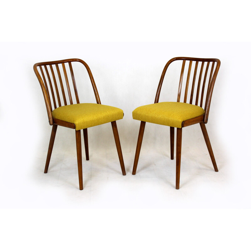 Pair of vintage chairs by Antonin Suman Czechoslovakia 1960s