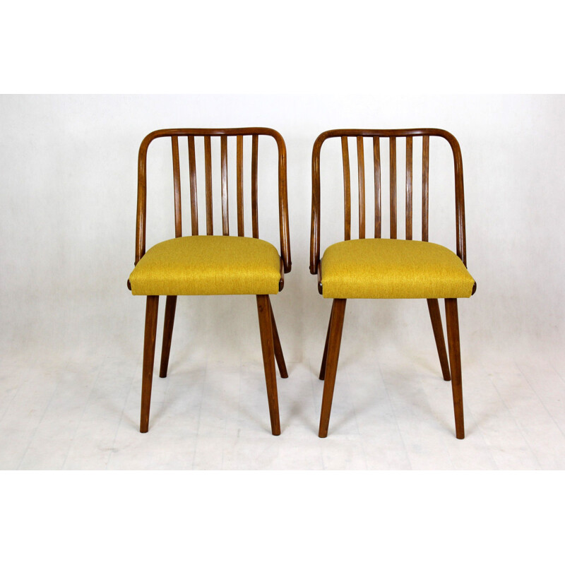 Pair of vintage chairs by Antonin Suman Czechoslovakia 1960s