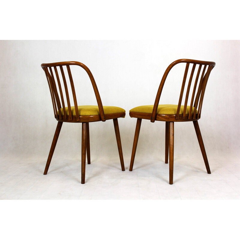Pair of vintage chairs by Antonin Suman Czechoslovakia 1960s
