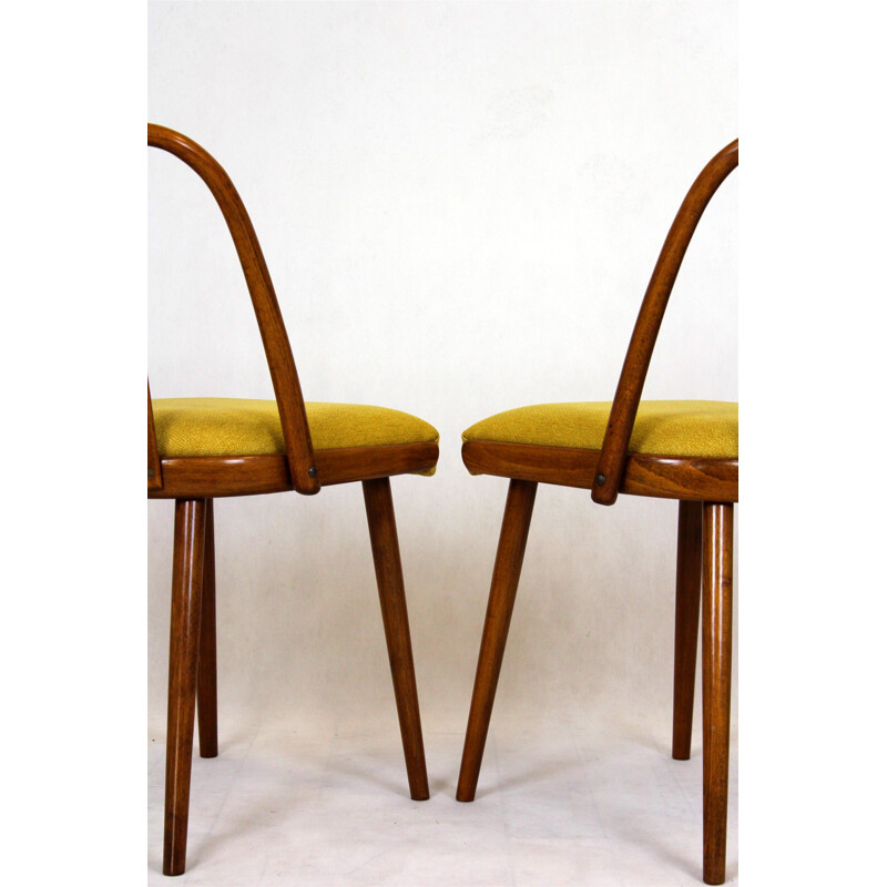 Pair of vintage chairs by Antonin Suman Czechoslovakia 1960s