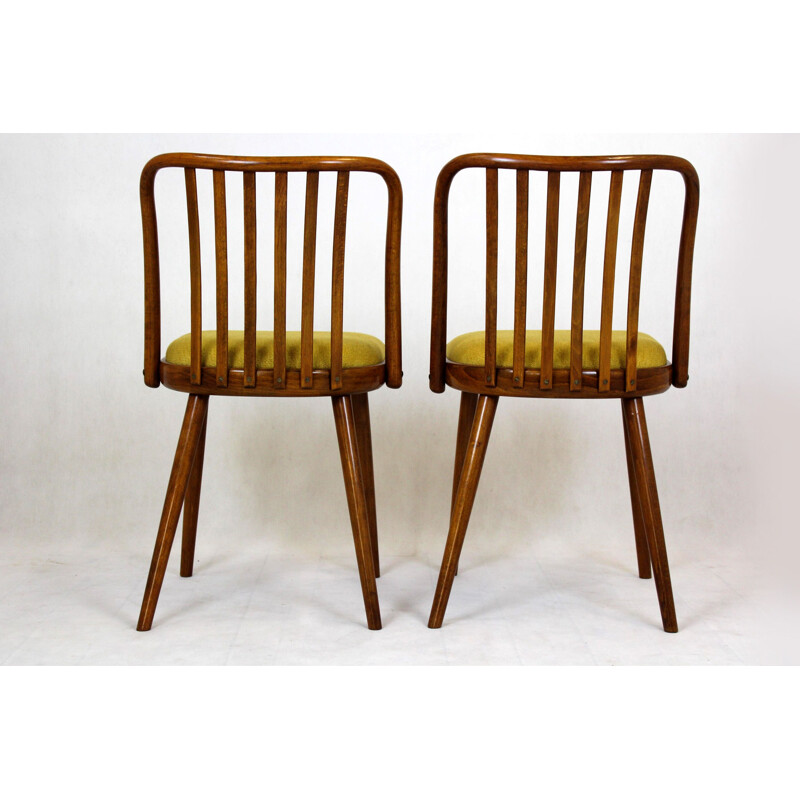 Pair of vintage chairs by Antonin Suman Czechoslovakia 1960s