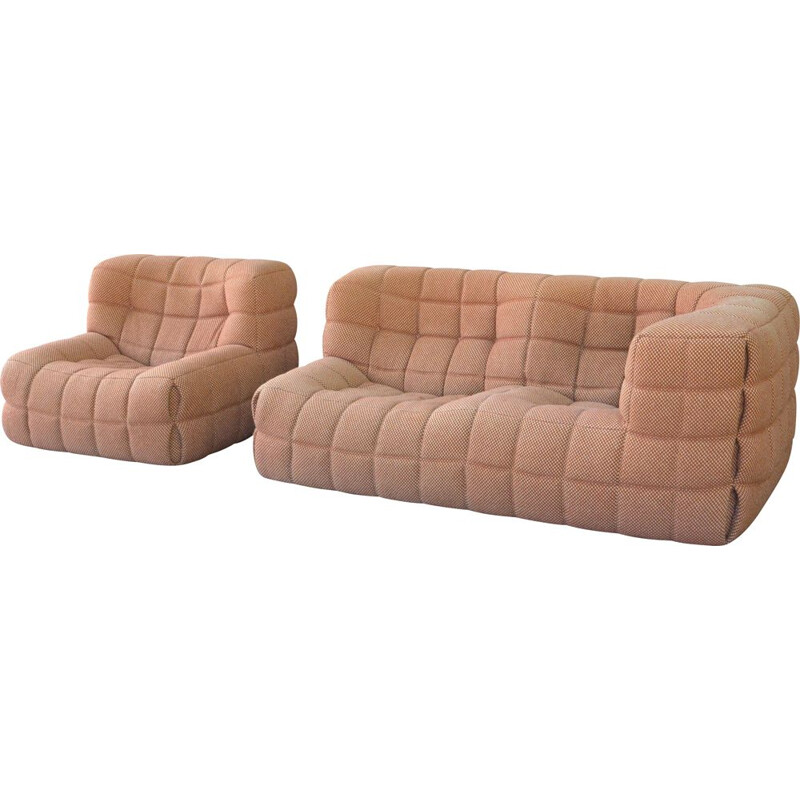Vintage sofa and armchair Kashima  Michel Ducaroy's