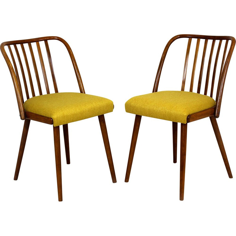 Paire de chaises vintage par Antonin Suman Tchécoslovaquie 1960