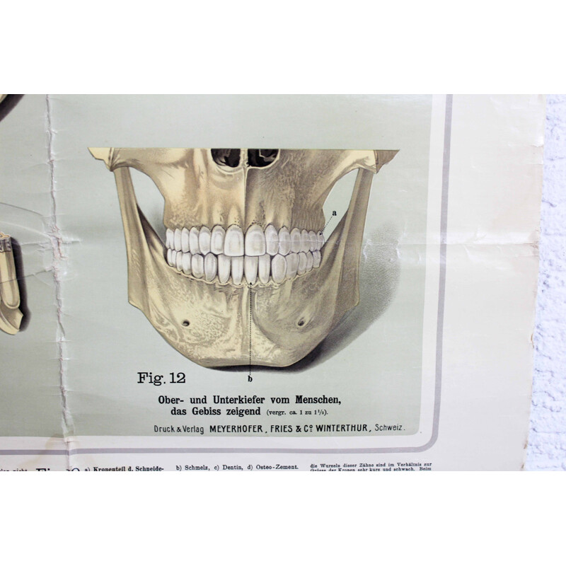 Vintage poster Pfleget die Zähne, Switzerland