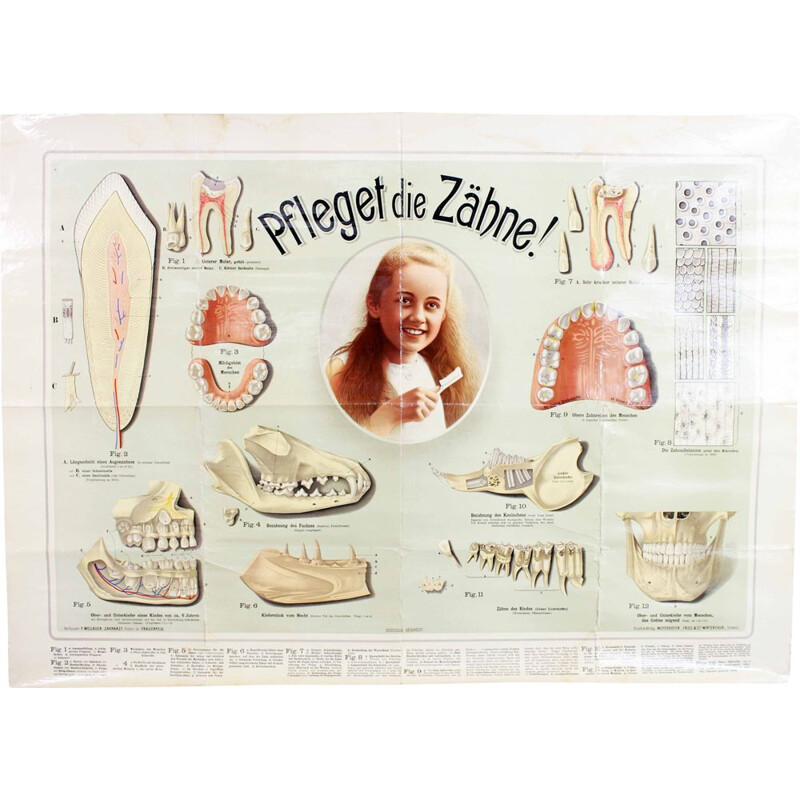 Cartaz Vintage Cuidados com os seus dentes, Suíça