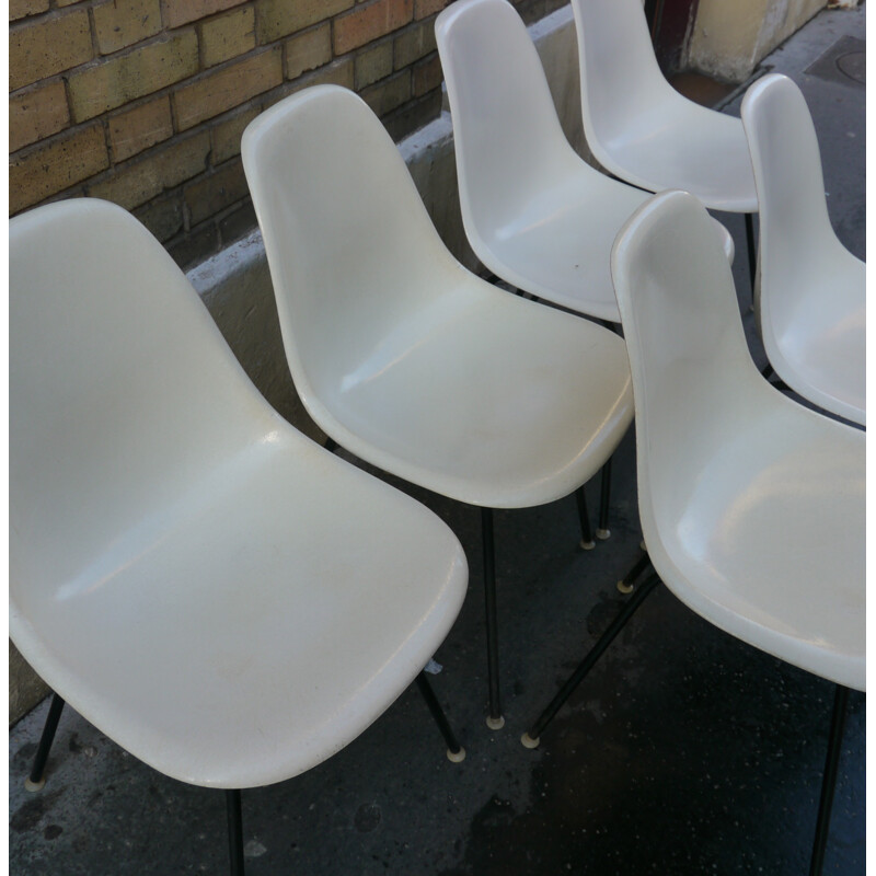 Suite of 6 "DCM" chairs, by Charles EAMES - 1970s