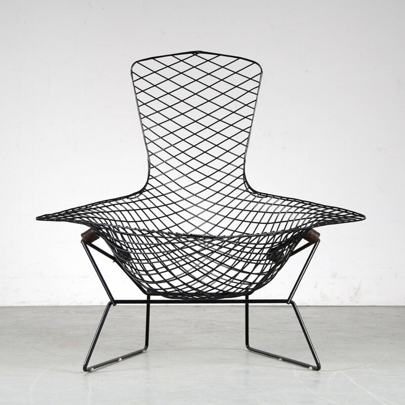 Vintage chair by Harry Bertoia for Knoll USA 1950s