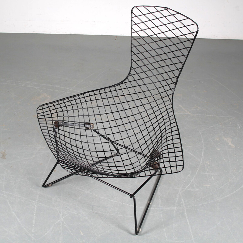 Vintage chair by Harry Bertoia for Knoll USA 1950s