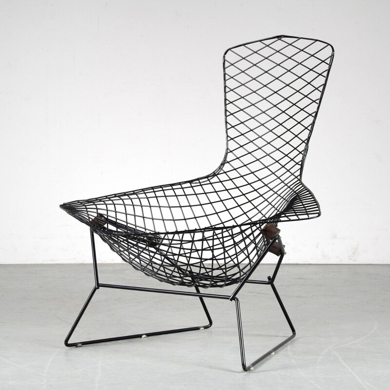 Vintage chair by Harry Bertoia for Knoll USA 1950s