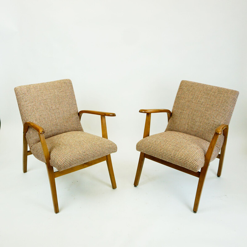 Paire de fauteuils vintage par Roland Rainer