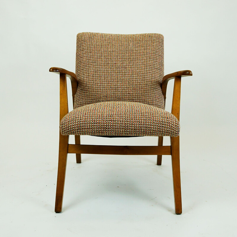 Pair of vintage armchairs by Roland Rainer