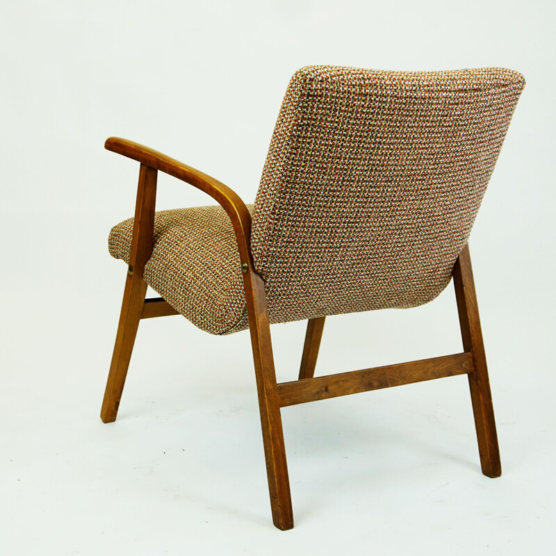 Pair of vintage armchairs by Roland Rainer