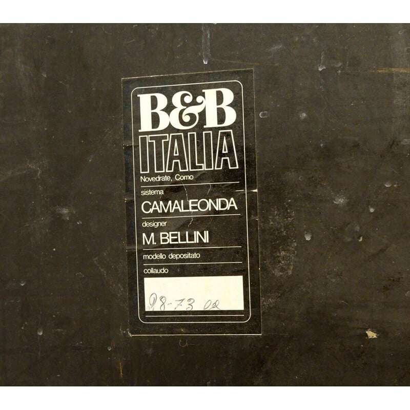 Pair of vintage Camaleonda sofas by Mario Bellini