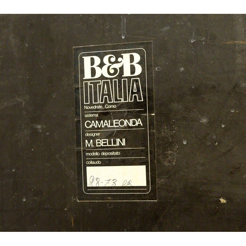 Paire de canapés vintage Camaleonda de Mario Bellini