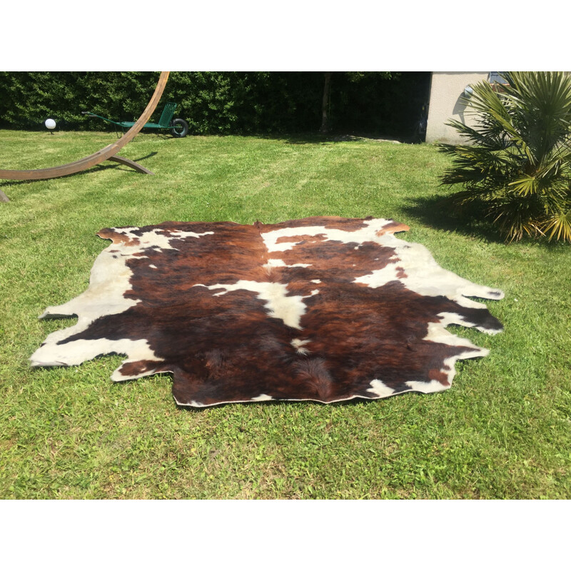 Vintage cowhide beautiful coloring and stain distribution, 1970