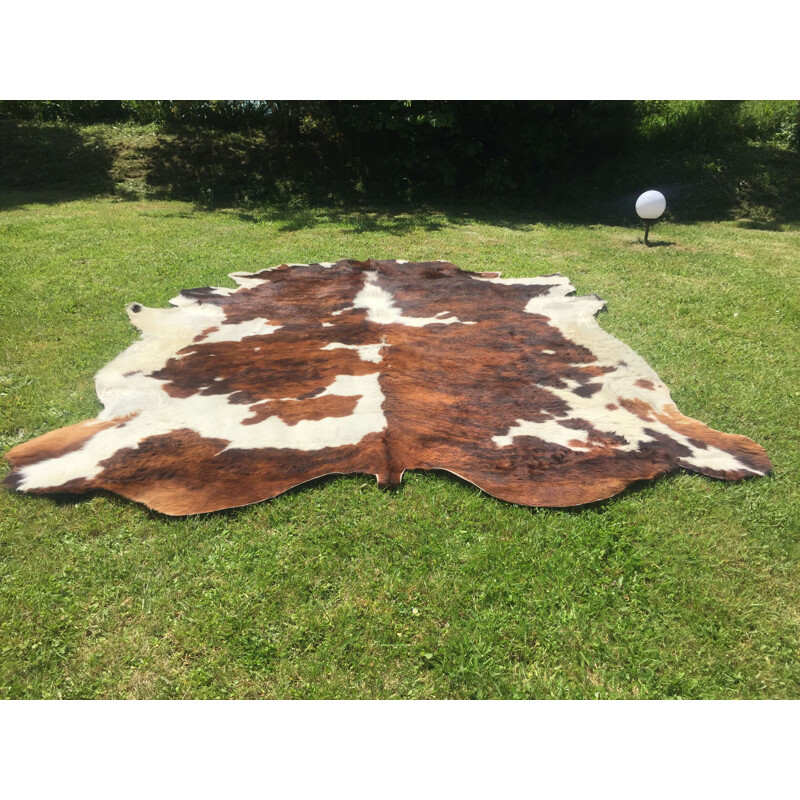 Vintage cowhide beautiful coloring and stain distribution, 1970