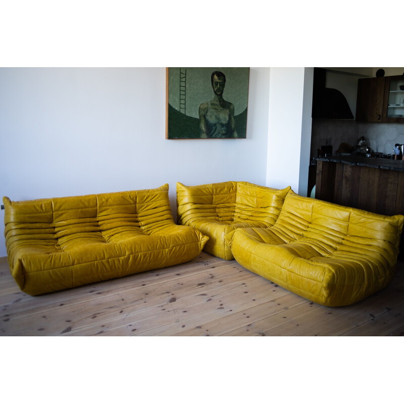 Vintage Togo 3-seater and 2-seater leather sofa set by Michel Ducaroy for Ligne  Roset