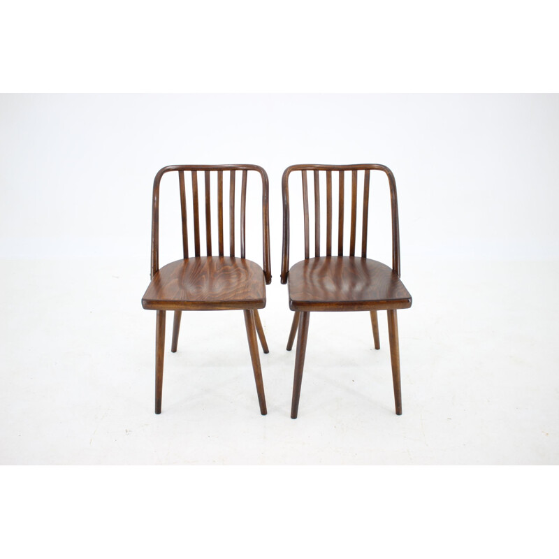 Ensemble de 6 chaises vintage en hêtre par Antonin Suman, Tchécoslovaquie 1960