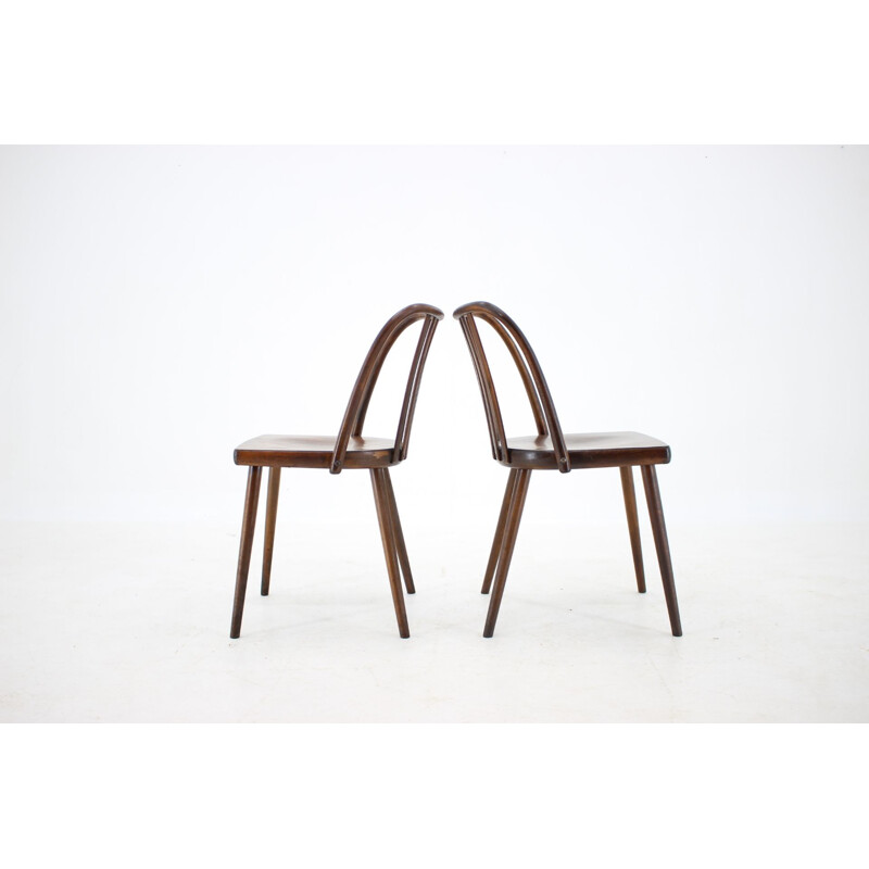 Ensemble de 6 chaises vintage en hêtre par Antonin Suman, Tchécoslovaquie 1960