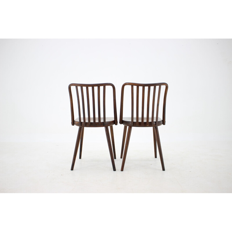 Ensemble de 6 chaises vintage en hêtre par Antonin Suman, Tchécoslovaquie 1960