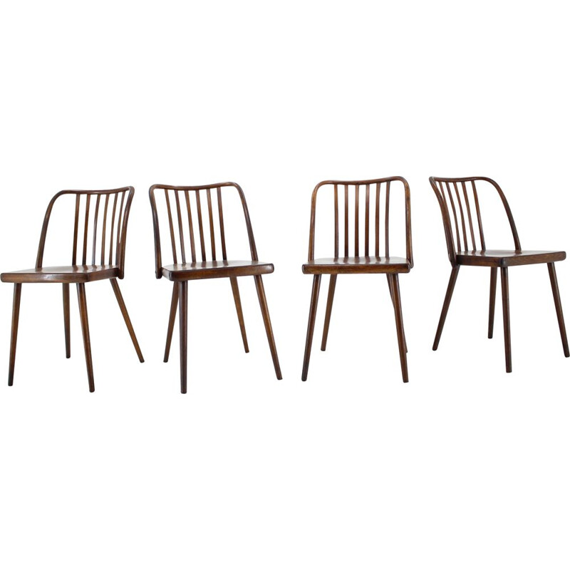 Ensemble de 6 chaises vintage en hêtre par Antonin Suman, Tchécoslovaquie 1960