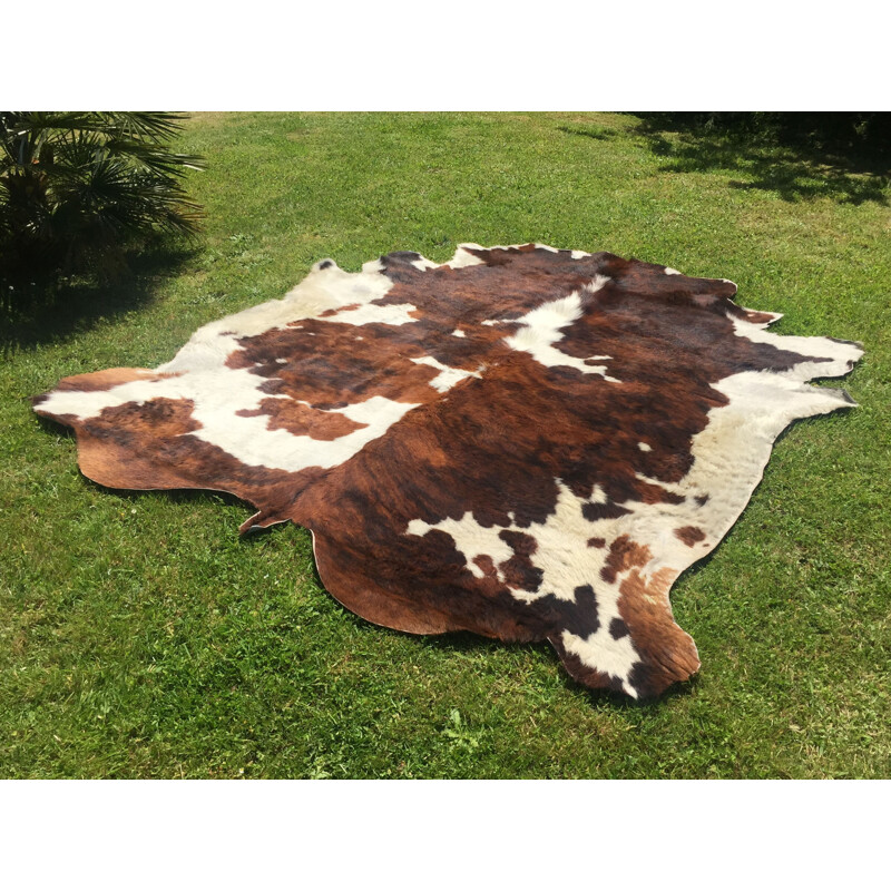 Vintage cowhide beautiful coloring and stain distribution, 1970