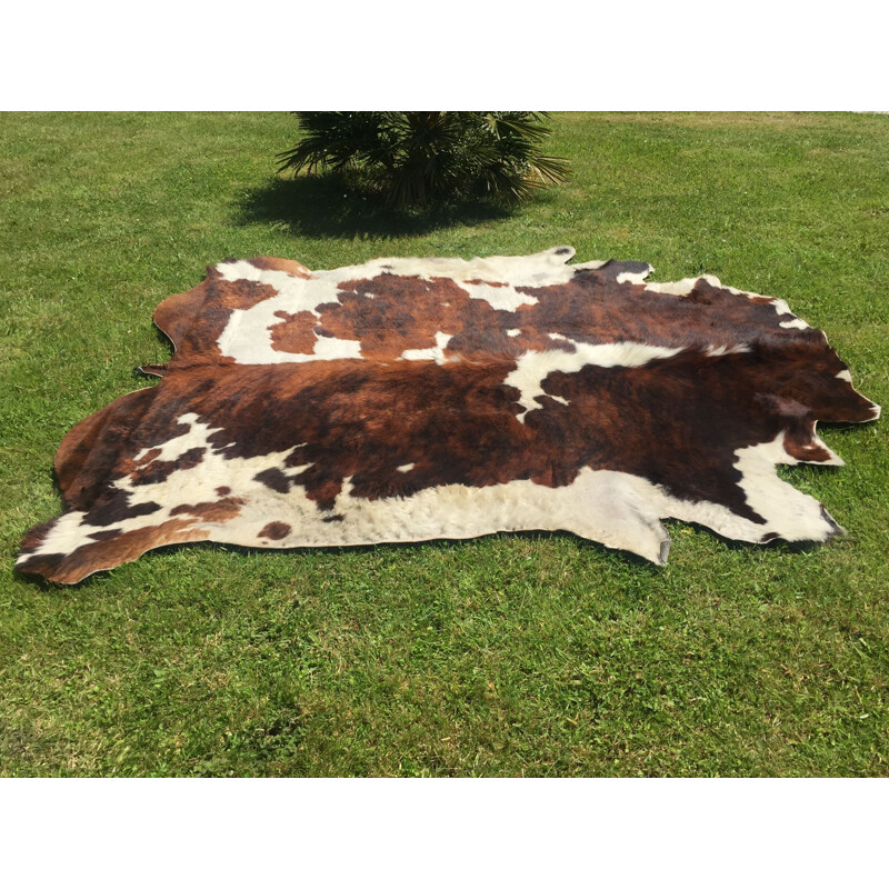 Vintage cowhide beautiful coloring and stain distribution, 1970