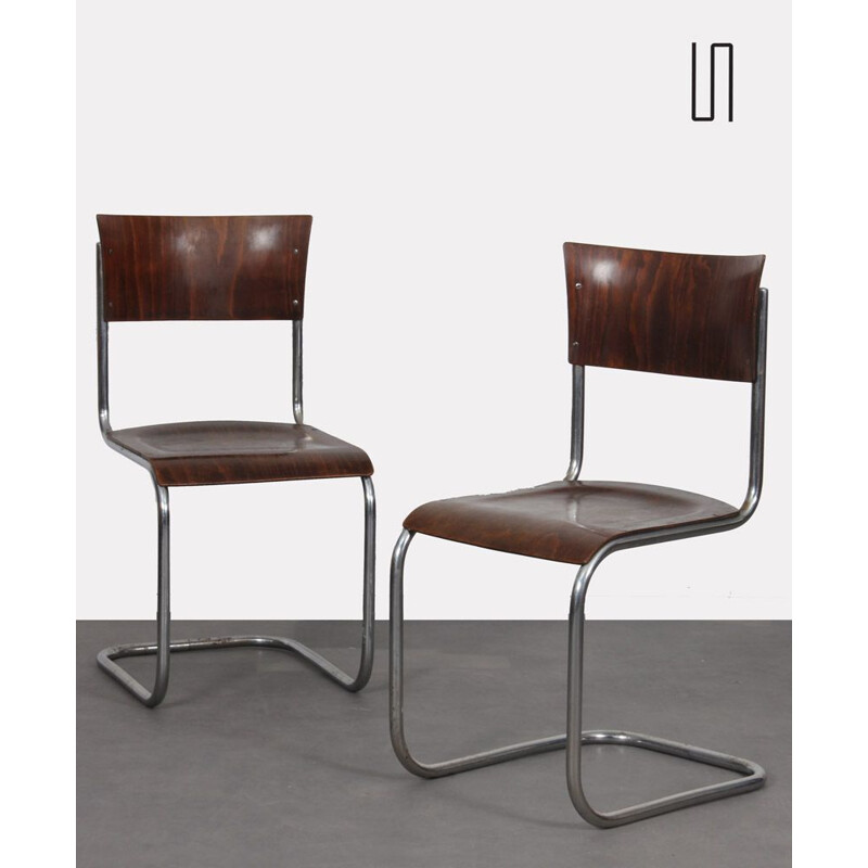 Pair of vintage chairs by Mart Stam for Kovona 1940s