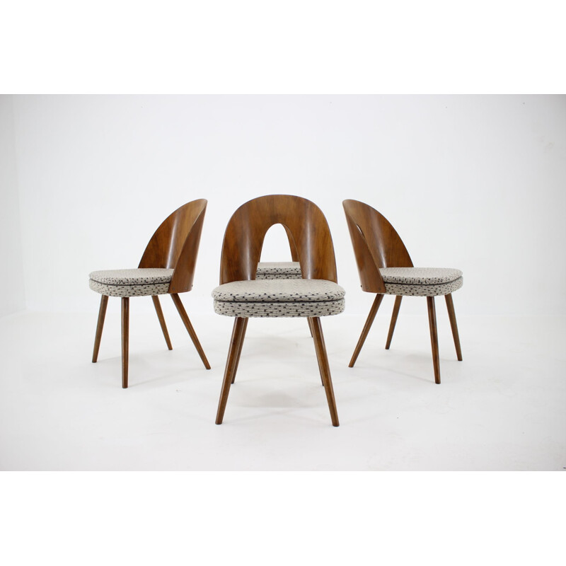 4 vintage dining chairs by Antonin Suman, Czechoslovakia 1960s