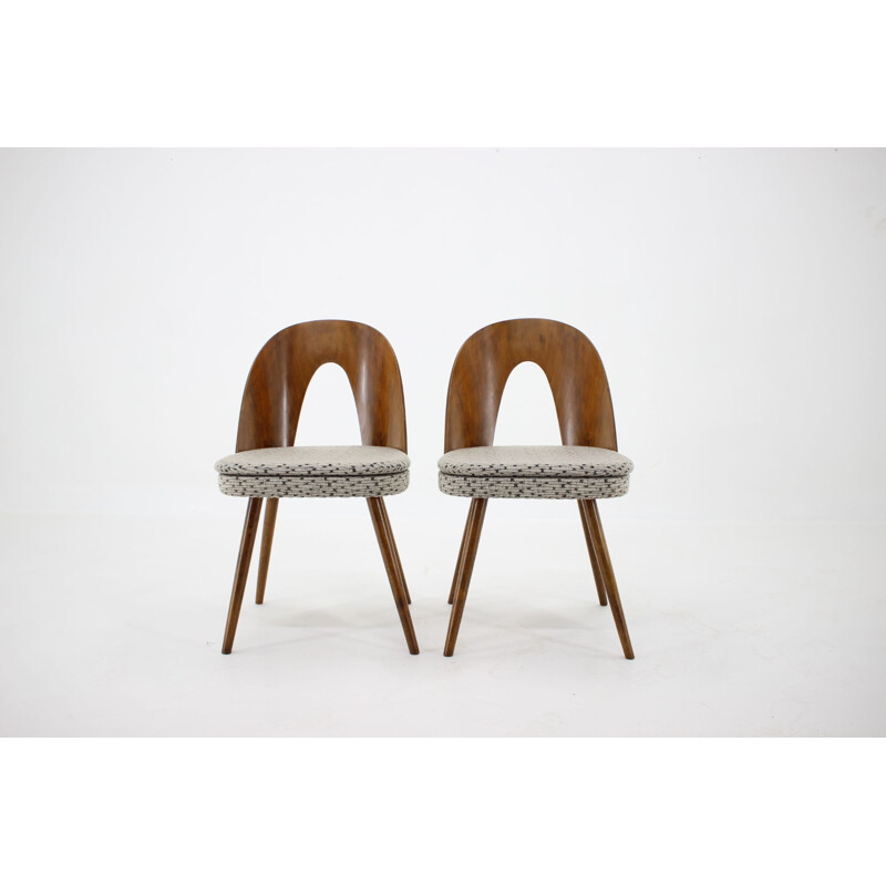 4 vintage dining chairs by Antonin Suman, Czechoslovakia 1960s