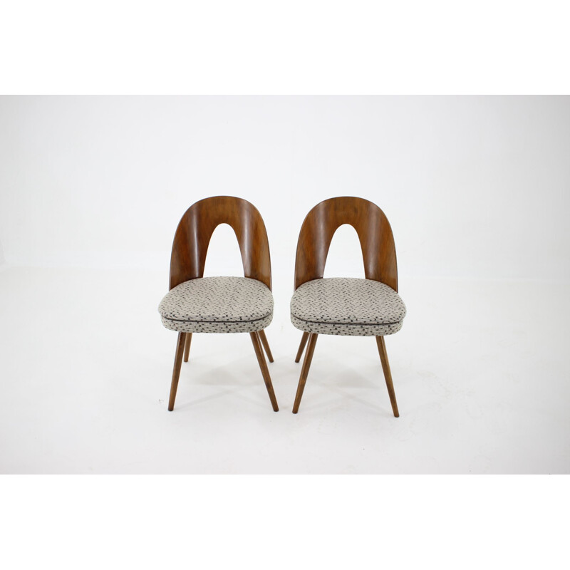 4 vintage dining chairs by Antonin Suman, Czechoslovakia 1960s