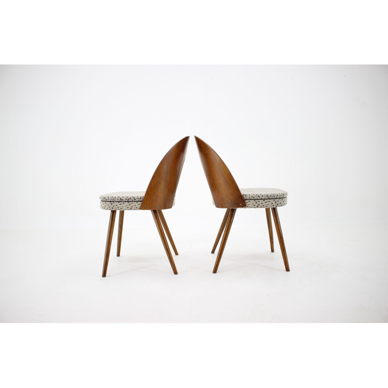 4 vintage dining chairs by Antonin Suman, Czechoslovakia 1960s