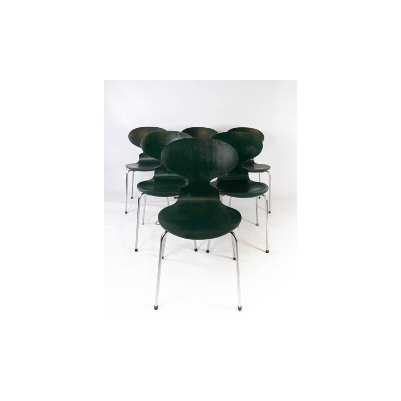 Set of 5 vintage dark green Ant chairs model 3101 by Arne Jacobsen by Fritz Hansen 1952s