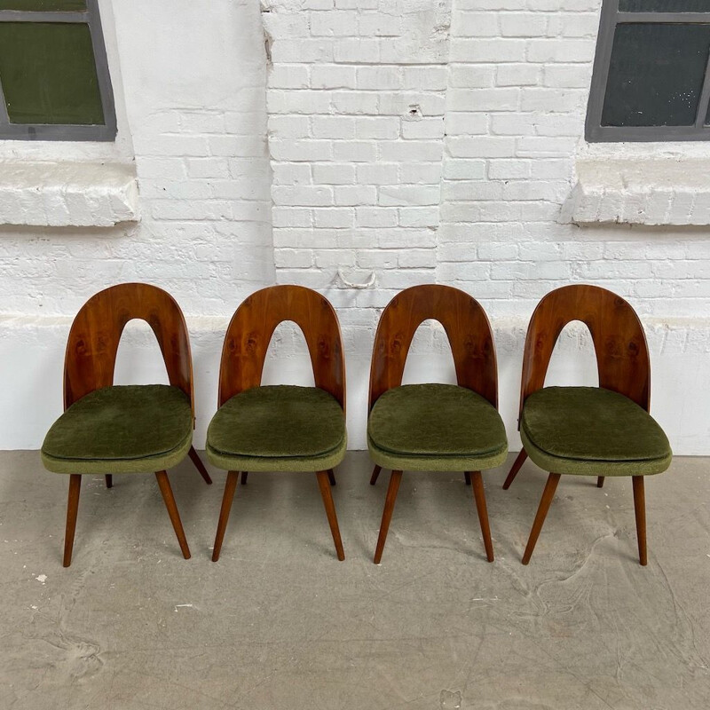 Ensemble de 4 chaises vintage par A. Suman 1960