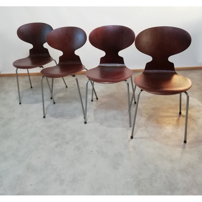 Juego de 4 sillas vintage de teca modelo 3101 de Arne Jacobsen para Fritz Hansen, 1950