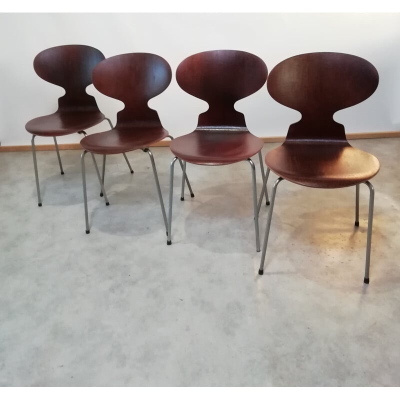 Set of 4 vintage teak chairs model 3101 By Arne Jacobsen for Fritz Hansen, 1950