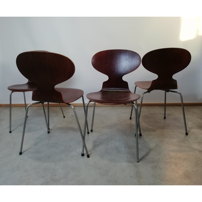 Juego de 4 sillas vintage de teca modelo 3101 de Arne Jacobsen para Fritz Hansen, 1950