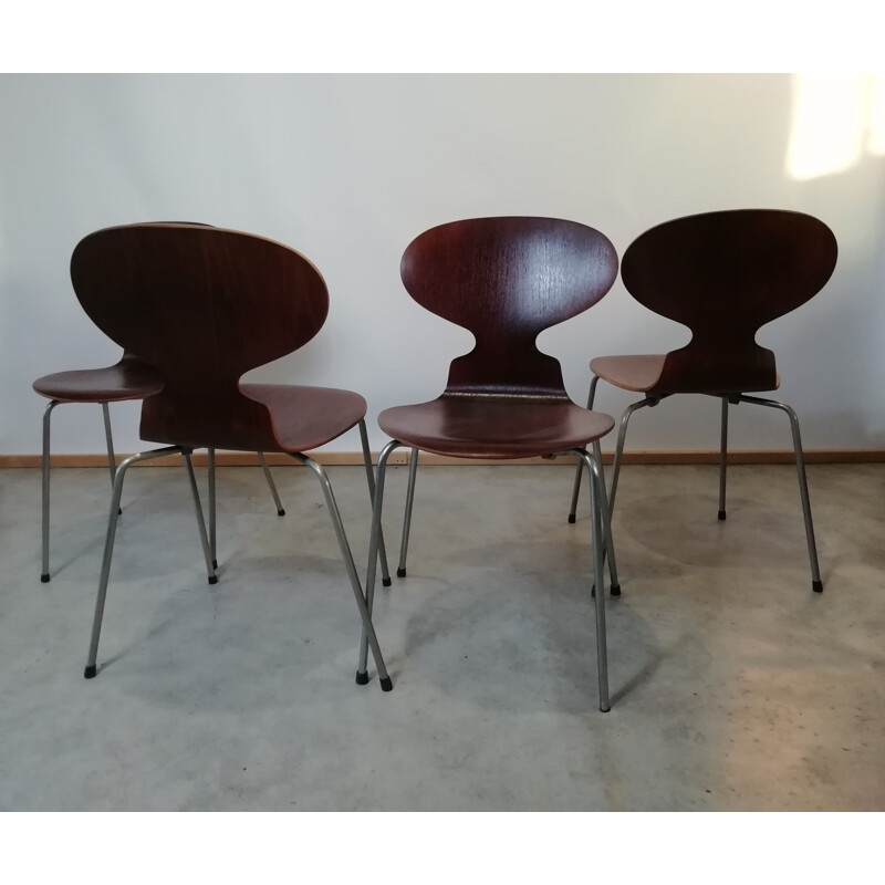 Set of 4 vintage teak chairs model 3101 By Arne Jacobsen for Fritz Hansen, 1950