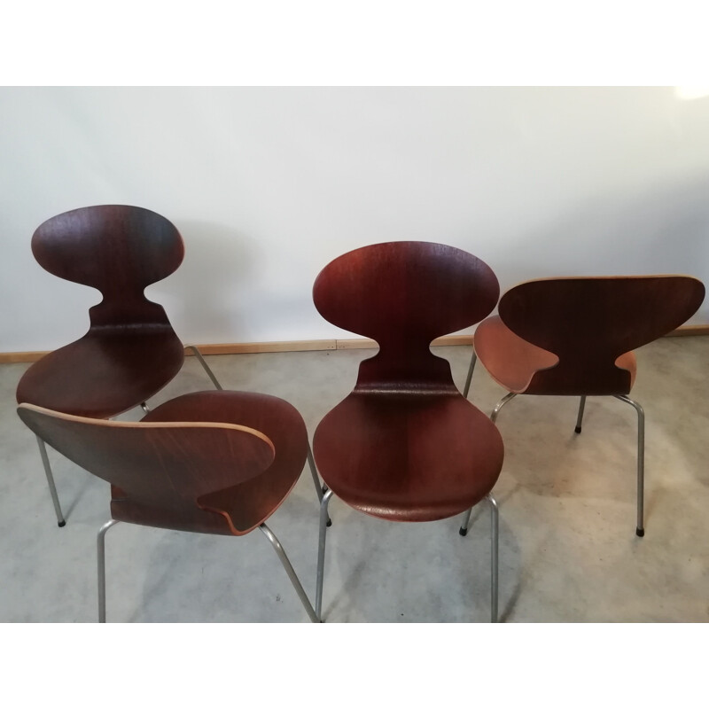 Set of 4 vintage teak chairs model 3101 By Arne Jacobsen for Fritz Hansen, 1950